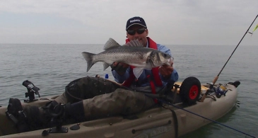 Rigged and ready Rigged and ready