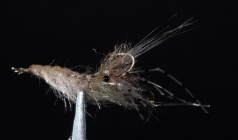 Tied on a swimming nymph hook Tied on a swimming nymph hook