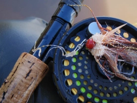 What's left over What's left over