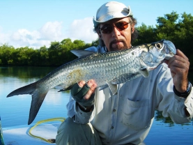 Tarpon from Tobago Tarpon from Tobago