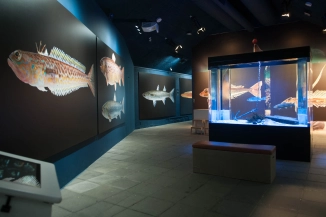 Large prints! Large prints!