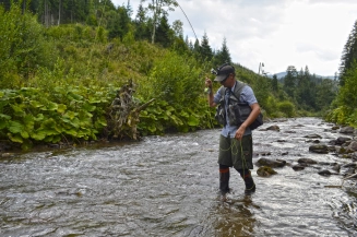 I haven't had so much fun with dry fly for quite some time I haven't had so much fun with dry fly for quite some time