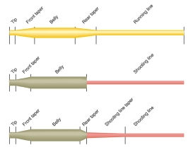 The difference The difference