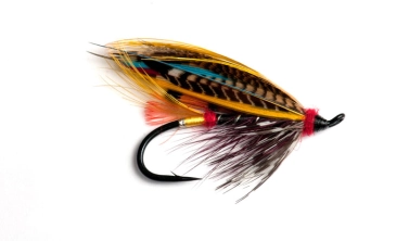 Black Doctor Black Doctor