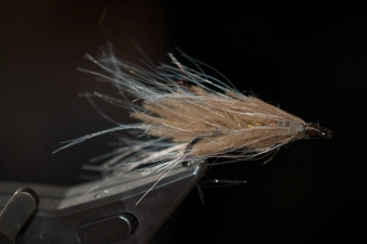 Ugly Straggly Wolf Ugly Straggly Wolf