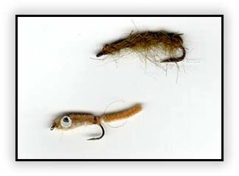 Johann's flies Johann's flies