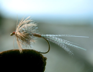 The original Klympen The original Klympen