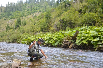 The grasshopper valley was very generous to me The grasshopper valley was very generous to me