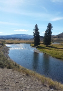 Slough Creek Slough Creek