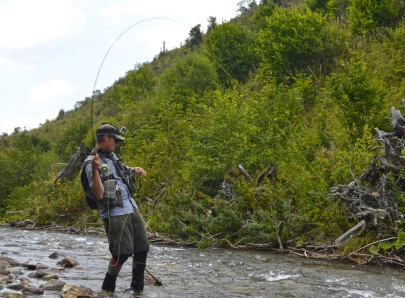 Trout used submerged trees as hiding and escape spots Trout used submerged trees as hiding and escape spots