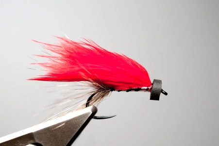 Martin's Silver Desire Martin's Silver Desire