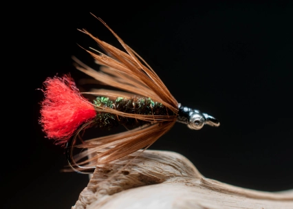 Coastal Red Tag with eyes Coastal Red Tag with eyes