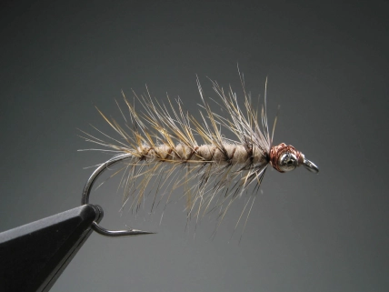 The Copper Camel The Copper Camel