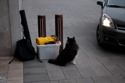 Ready to go Ready to go