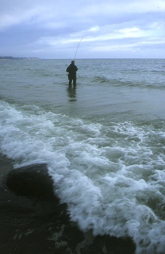 Fishing the coast Fishing the coast