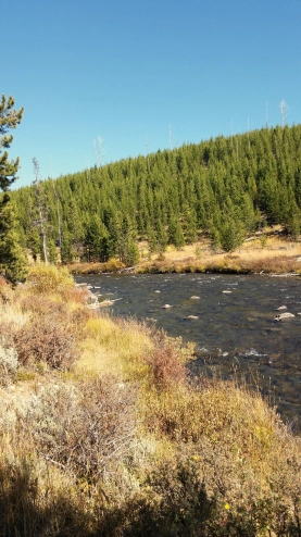 Upper Gardiner Upper Gardiner