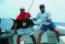 Sailfish fishing Sailfish fishing
