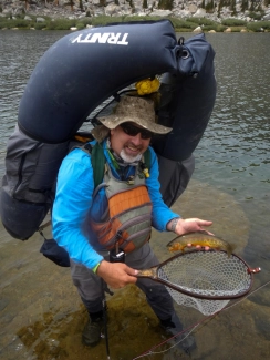 Golden trout Golden trout