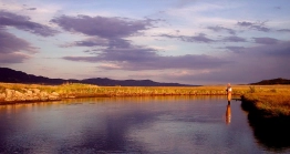 The classical stream The classical stream