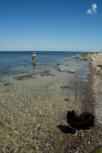 Look behind you! Look behind you!