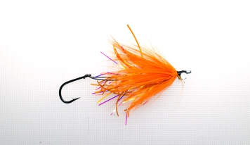 Straight eye Straight eye