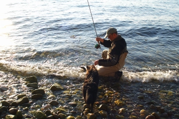 Landing a Danish sea trout Landing a Danish sea trout