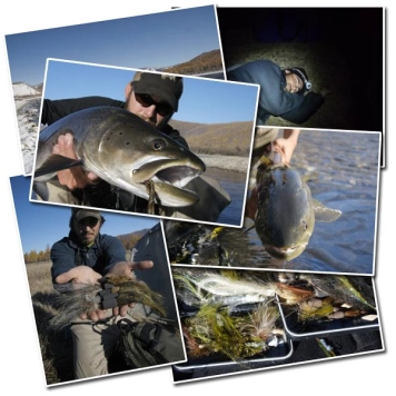 River wolf River wolf