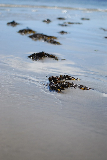 Bladder pattern Bladder pattern