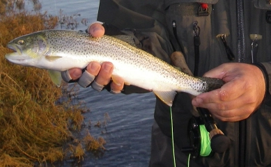 Beauty of the salt Beauty of the salt