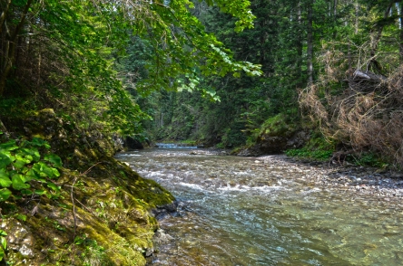 Doing more than fine Doing more than fine