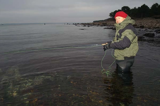 Did go, was dull - image Did go, was dull - image