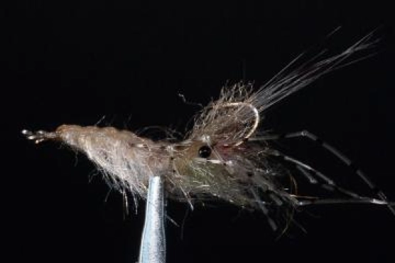 Kern's Perfect Leo Shrimp with epoxy eyes Kern's Perfect Leo Shrimp with epoxy eyes