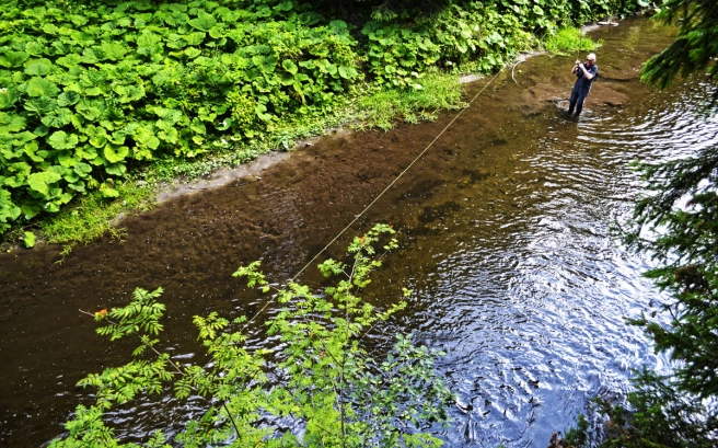 The whole fly line The whole fly line