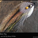 #71 BP Rainbow Fry - Barry Phillips #71 BP Rainbow Fry - Barry Phillips