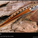 #169 Billy Jack - Don Ordes #169 Billy Jack - Don Ordes