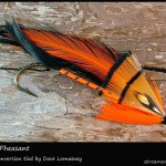 #316 Golden Pheasant - Dave Lomasney #316 Golden Pheasant - Dave Lomasney