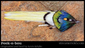 Peek-a-bou - Kevin Kirkelie