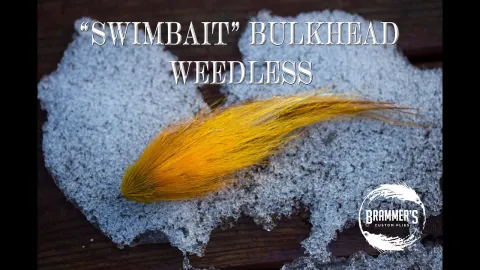 Video thumb for Swimbait BULKhead