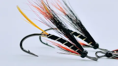 Video thumb for Thunder & Lighting