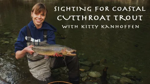 Video thumb for Sighting for Coastal Cutthroat