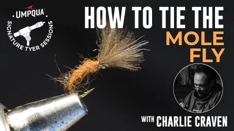 Video thumb for Mole Fly