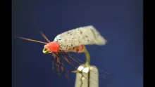 Video thumb for Foam Wing October Caddis