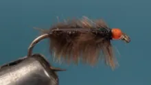 Video thumb for Ray Charles Sow Bug