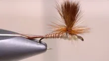 Video thumb for Peacock March Brown Parachute