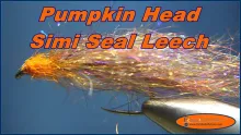 Video thumb for Simi Seal Pumpkinhead