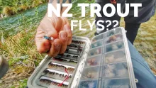 Video thumb for NZ Trout and the flies they eat