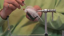Video thumb for Mardi Gras Minnow - MGM