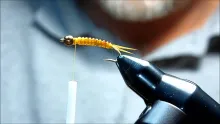 Video thumb for CP's Soft Hackle "D" rib Golden Stone Nymph