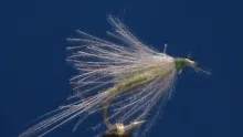 Video thumb for My Top Fishing Flies #3 with Jim Misiura