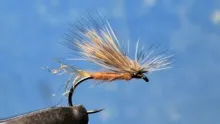 Video thumb for E/C Caddis (Emergent / Cripple)